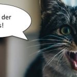 Katze mit Sprechblase: Ich bin der Boss