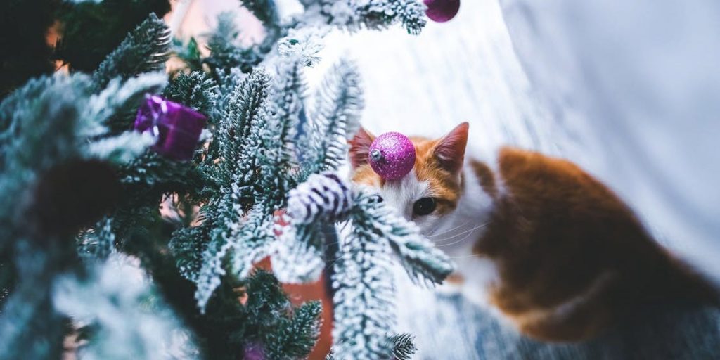 Katze unter dem Weihnachtsbaum
