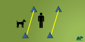Grafik von petcenter.ch zu Training zum Zusammenführen von Hund und Pferd