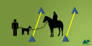 Grafik von petcenter.ch zu Training zum Zusammenführen von Hund und Pferd
