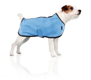 Hund mit einer blauen Kühlweste, erhältlich bei petcenter.ch