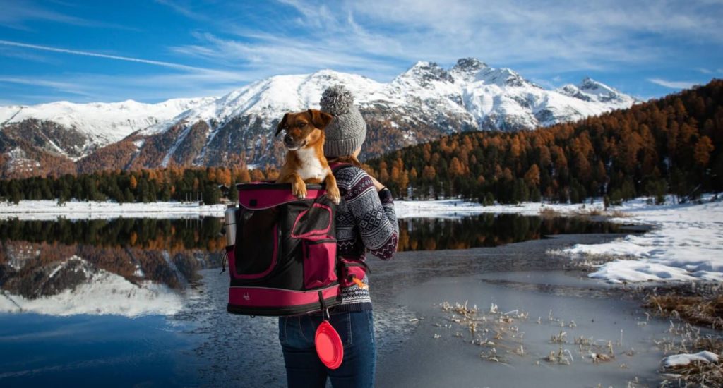 Hund im Hunderucksack Montana beim Wandern