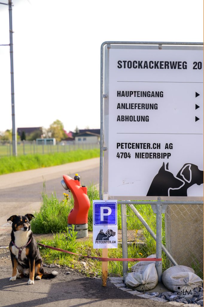 Hund vor dem petcenter.ch-Laden in Niederbipp
